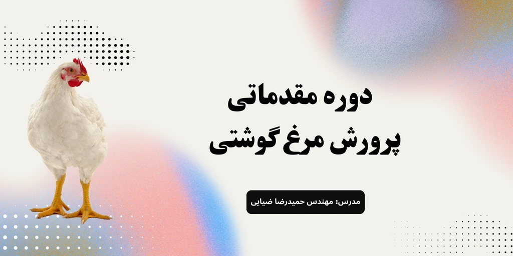 
                                                         اسلایدر 1