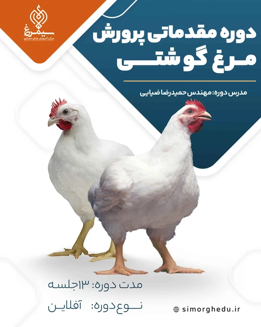 دوره مقدماتی پرورش مرغ گوشتی